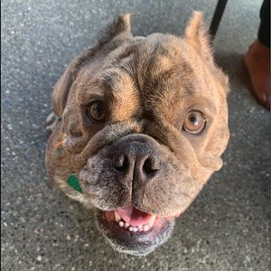 Meet your Posher, Tia